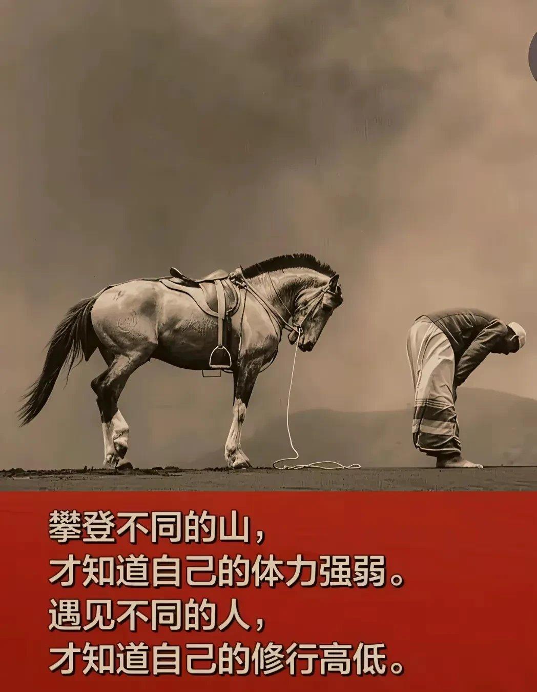 开云体育官网-包含人实力横扫雄鹿，士气高涨获得胜利的词条