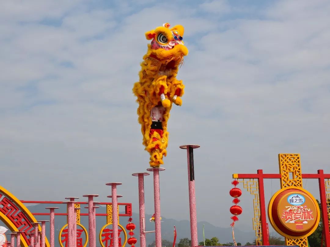 江苏龙狮迎战激烈,教练展望未来的简单介绍 江苏龙狮迎战激烈,教练展望未来的简单介绍