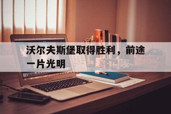 开云体育平台APP-沃尔夫斯堡取得胜利，前途一片光明的简单介绍