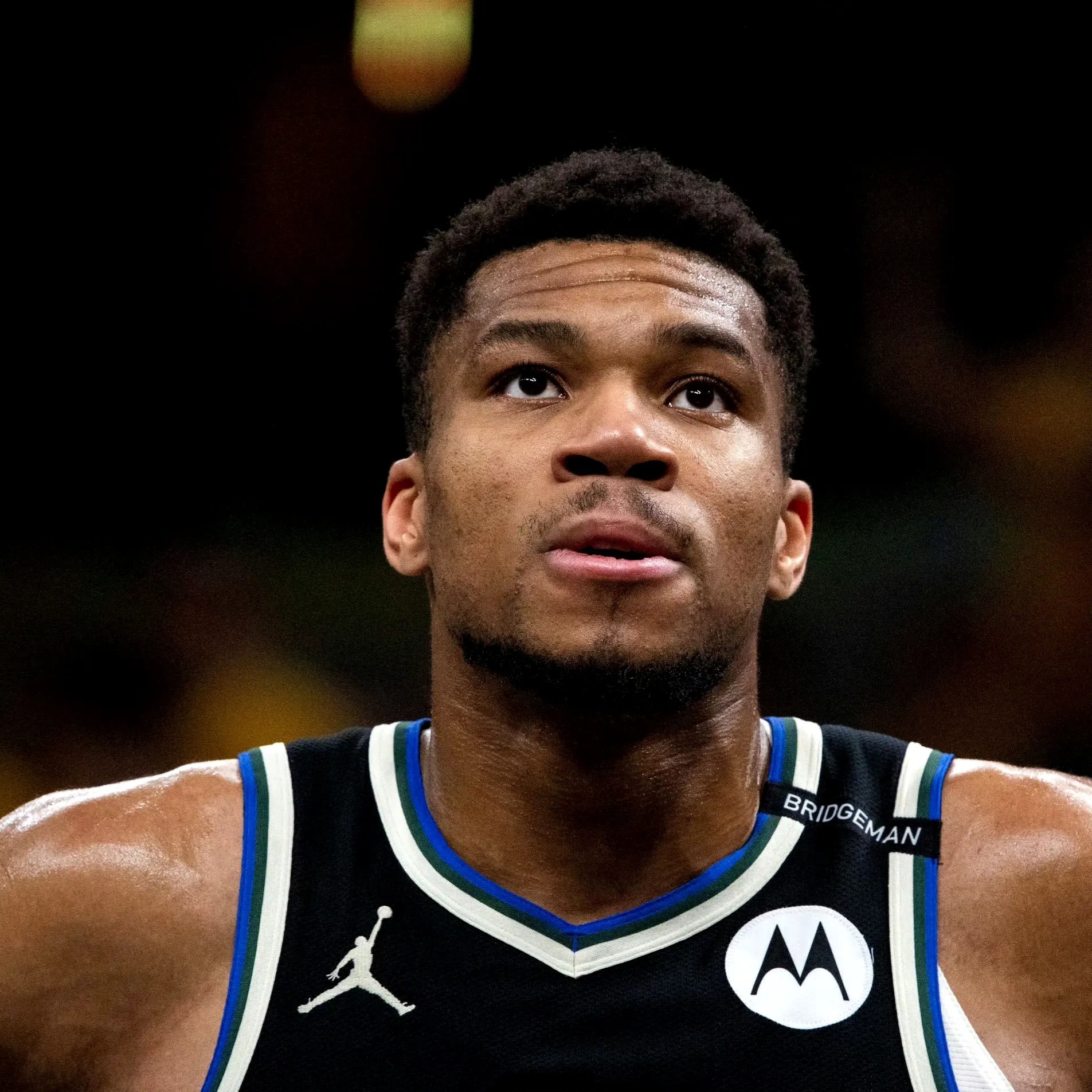 雄鹿轻松胜猛龙,字母哥全场发威 雄鹿轻松胜猛龙,字母哥全场发威