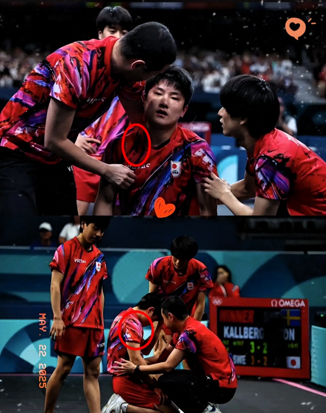 英国乒乓球队完胜德国乒乓球队，张本智和绝境逆转的简单介绍