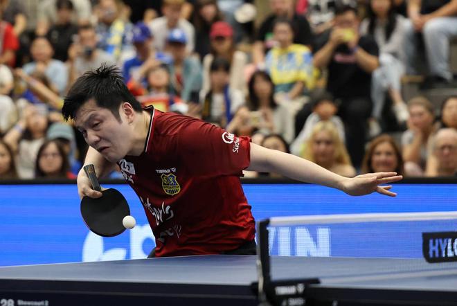 葡萄牙队逆转韩国队,樊振东关键制胜的简单介绍 葡萄牙队逆转韩国队,樊振东关键制胜的简单介绍